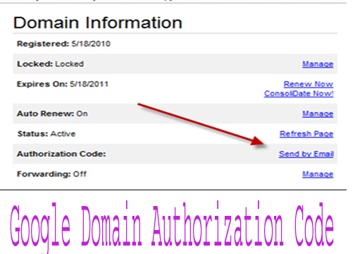 Google Domain Authorization Code