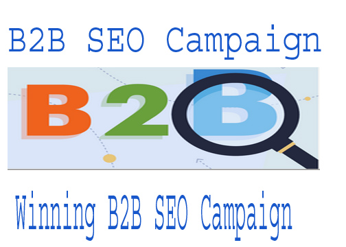 Winning B2B SEO Campaign