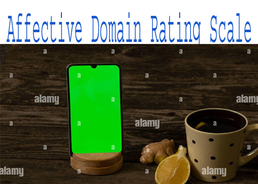 Affective Domain Rating Scale