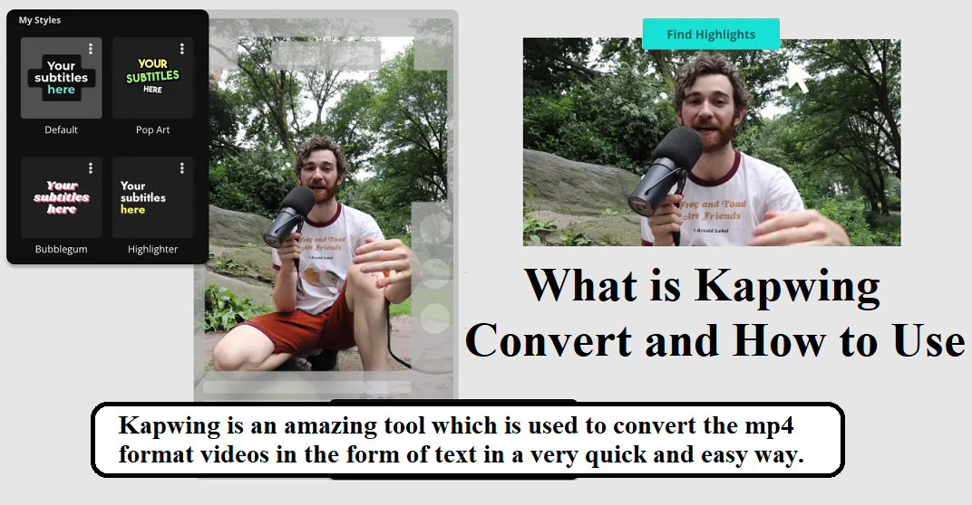 What is Kapwing Convert and How to Use Kapwing Convert Tool